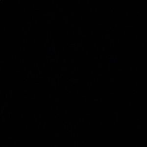 Meet your Posher, Randy